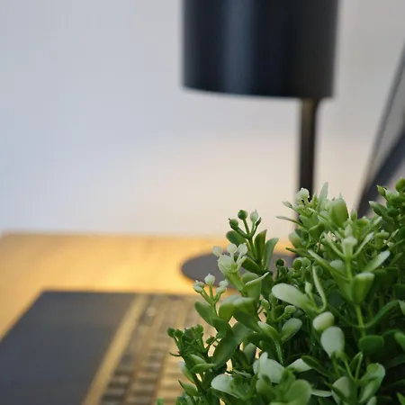 Sir Tobis - Sonnenhof - Zentrumsnah - Modern * Görlitz